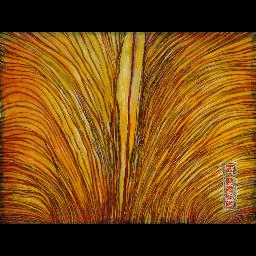 "Die Reise zu den Sonnenstaaten"