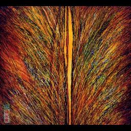 "Reise zu den Sonnenstaaten"